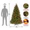 6.5ft. Pre-Lit Downswept Douglas® Fir Tree, Multicolor Lights
